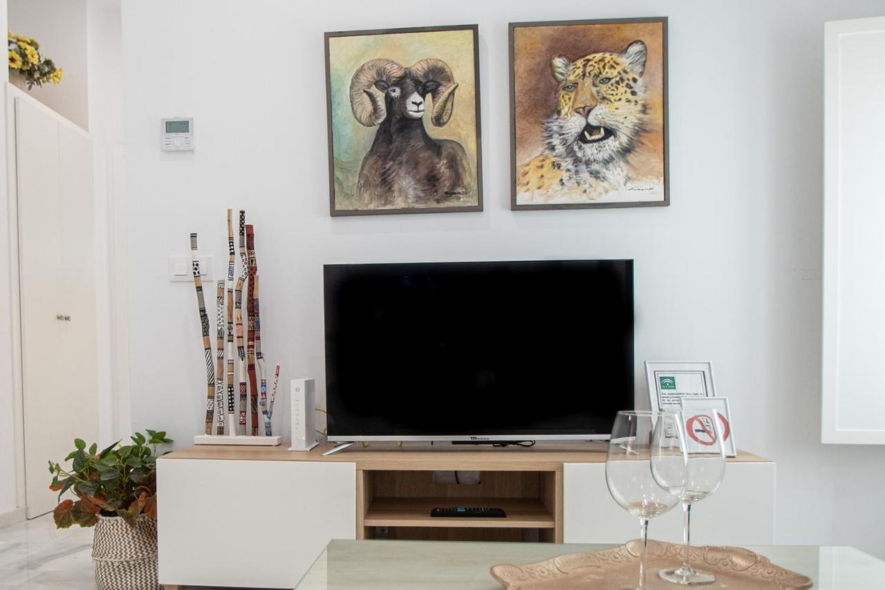 Apartamento Animalia Cádiz Exterior photo