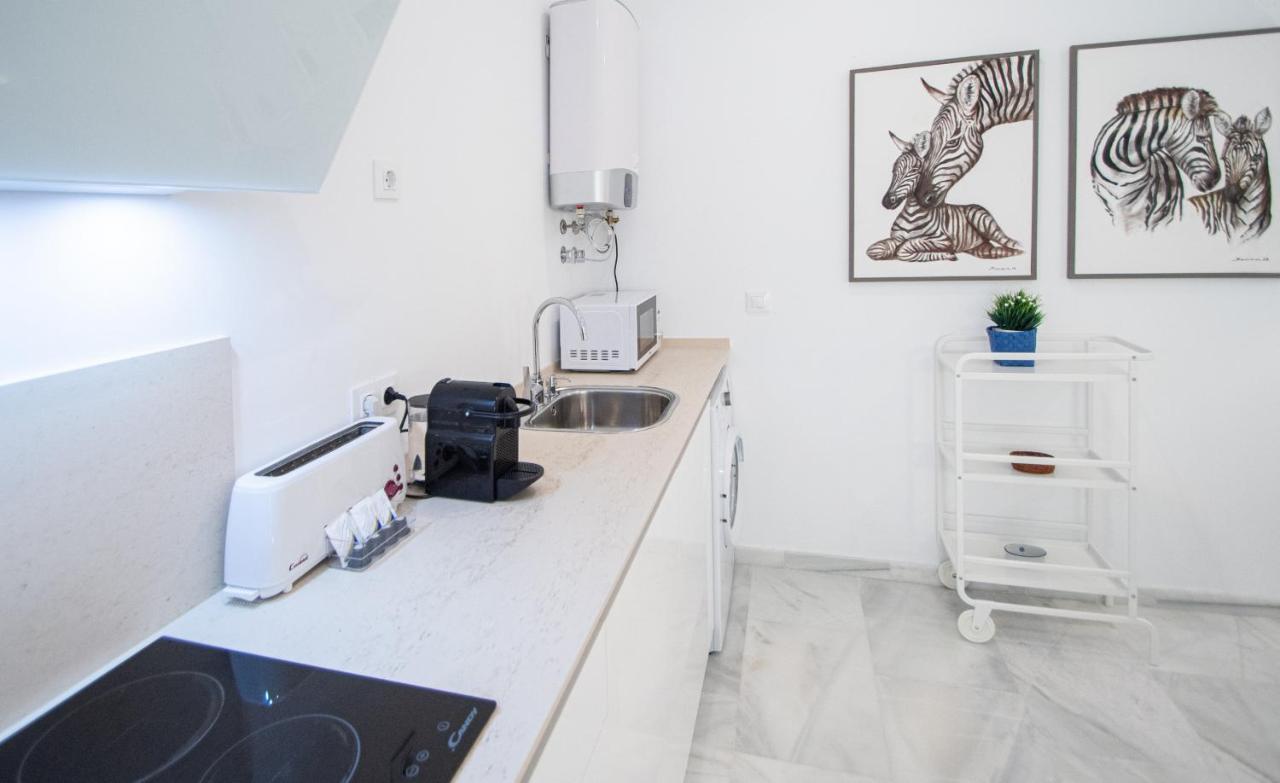 Apartamento Animalia Cádiz Exterior photo