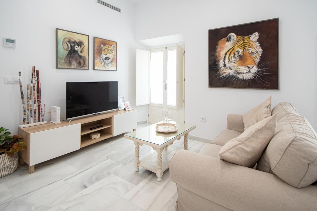 Apartamento Animalia Cádiz Exterior photo